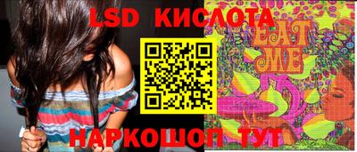 спиды Аргун