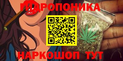 крисы Апрелевка