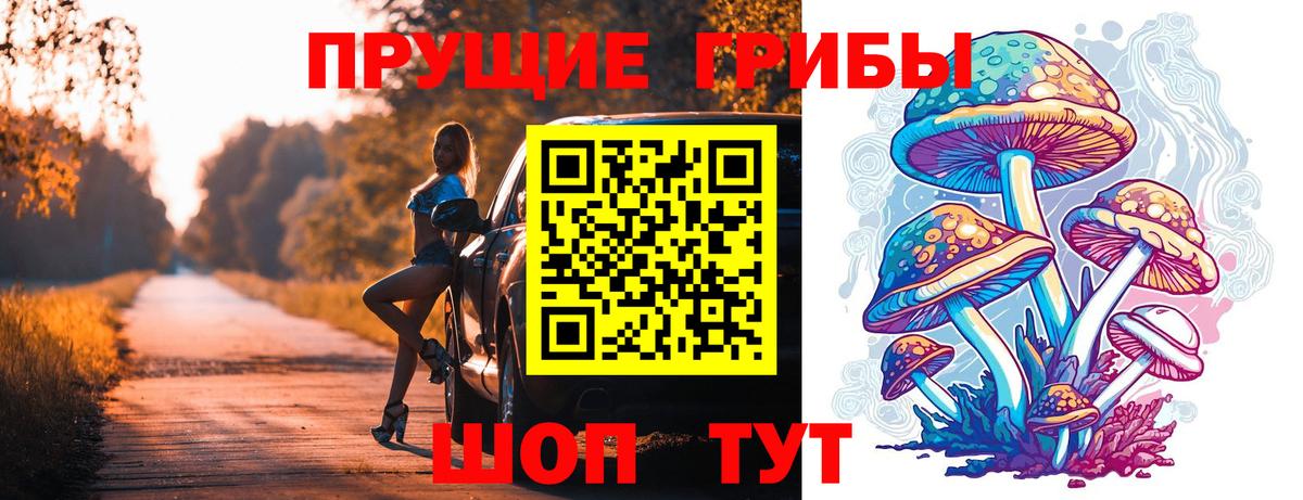 Брянск  Галлюциногенные грибы Cubensis  Галлюциногенные грибы Psilocybe  Вход с VPN 